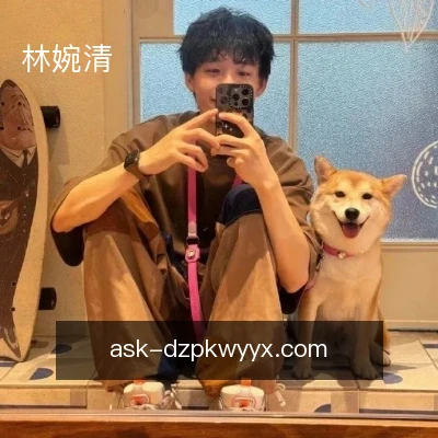 林婉清
